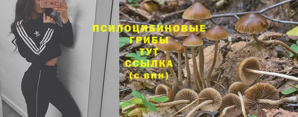 бутират Алексин